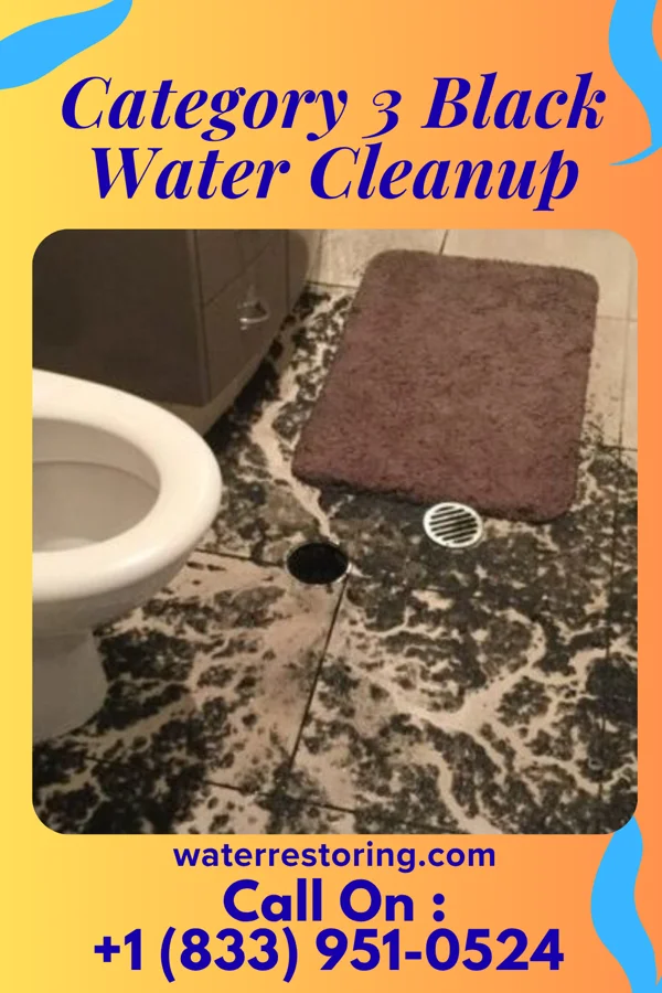 Category 3 Black Water Cleanup in Kibler, AR