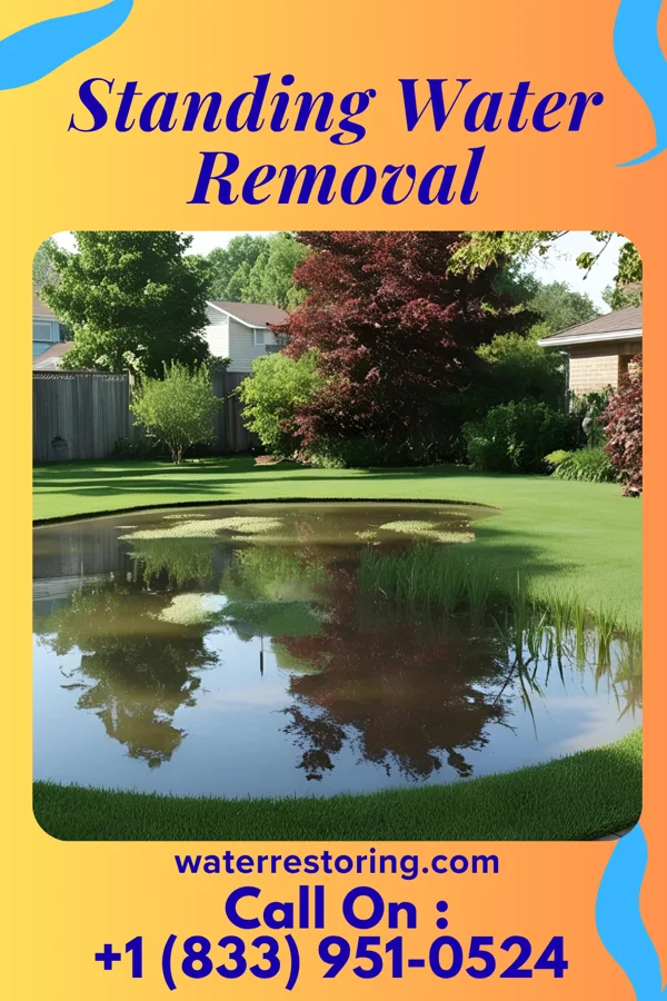 Standing Water Removal in Kibler, AR